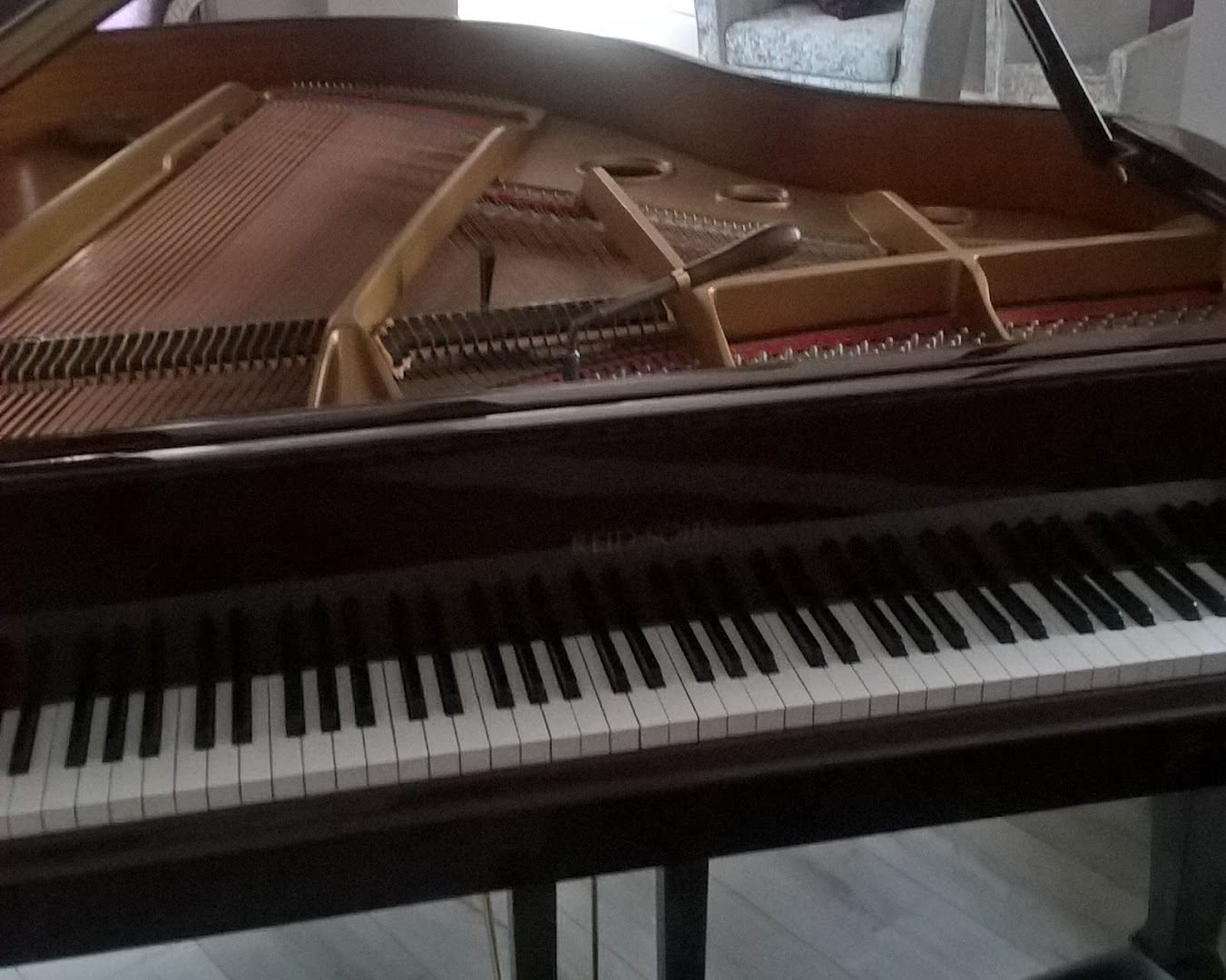 Alan Neale Piano Tuner Technician — Photos 3
